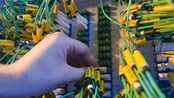 Computergrafik: Grid Computing