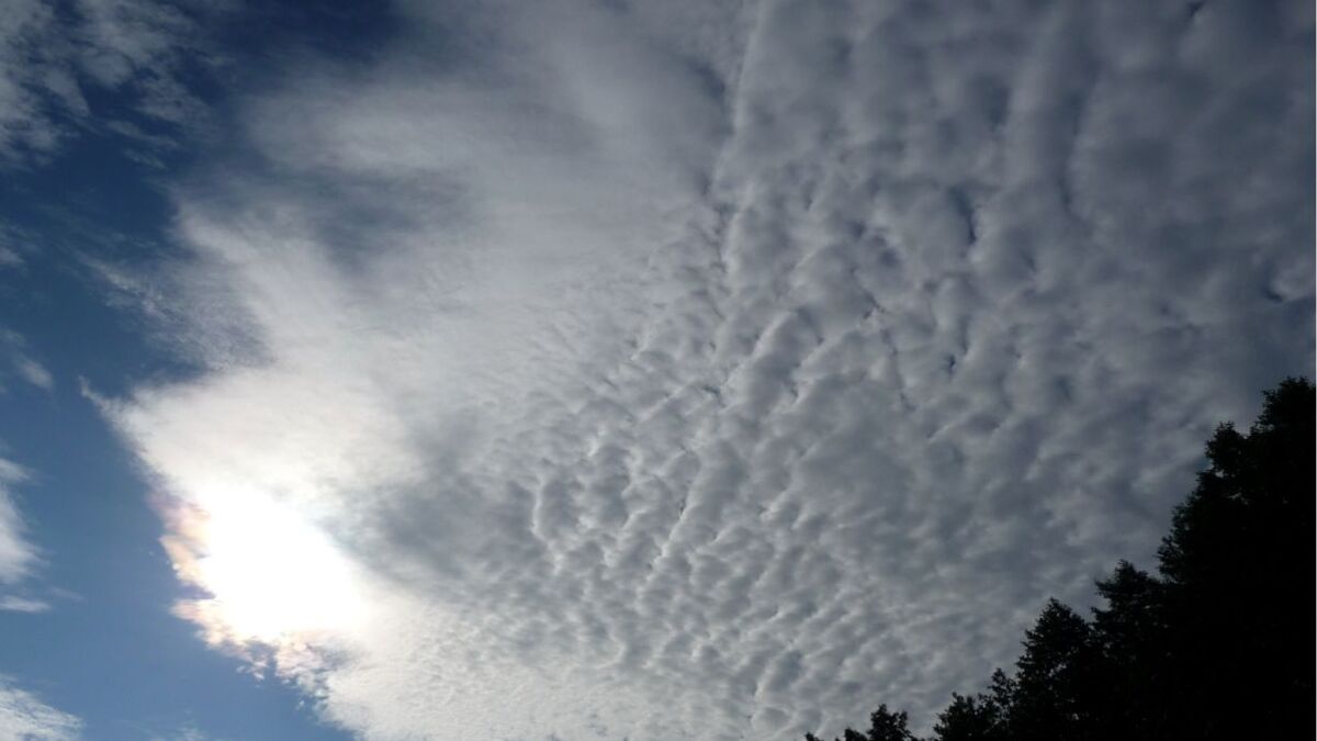 Wolken