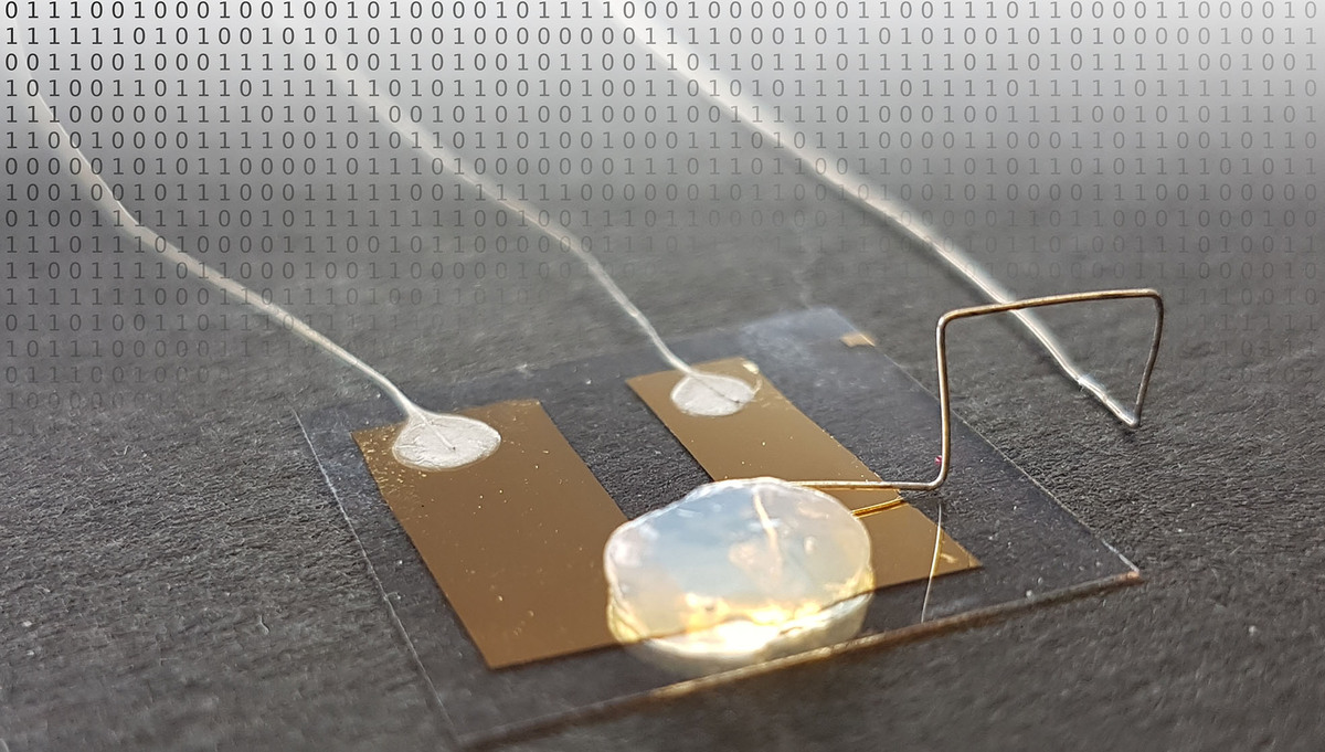 Einzelatom-Transistor (Abbildung: Arbeitsgruppe Professor Thomas Schimmel/KIT). 
